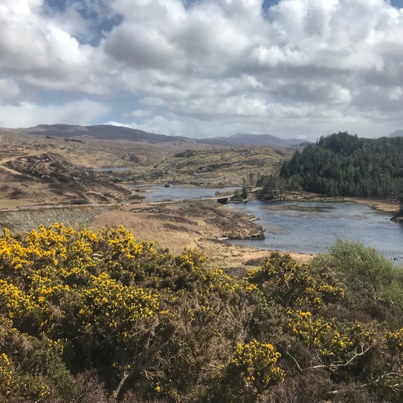 Eli! @RenegadeRevivalVintage & @LightlySaucedRetro - Picture 10 of 12